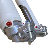 Load image into Gallery viewer, Vonkat Performance Aftermarket Fork CRF230F